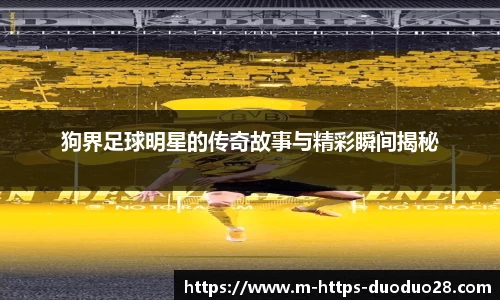 多多28有梦你就来